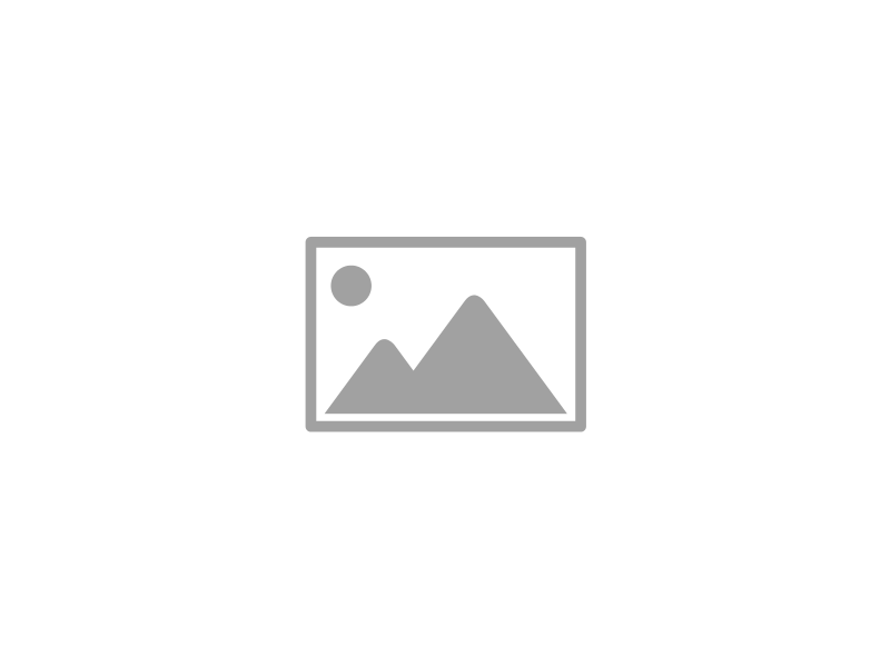 D2 Bites
