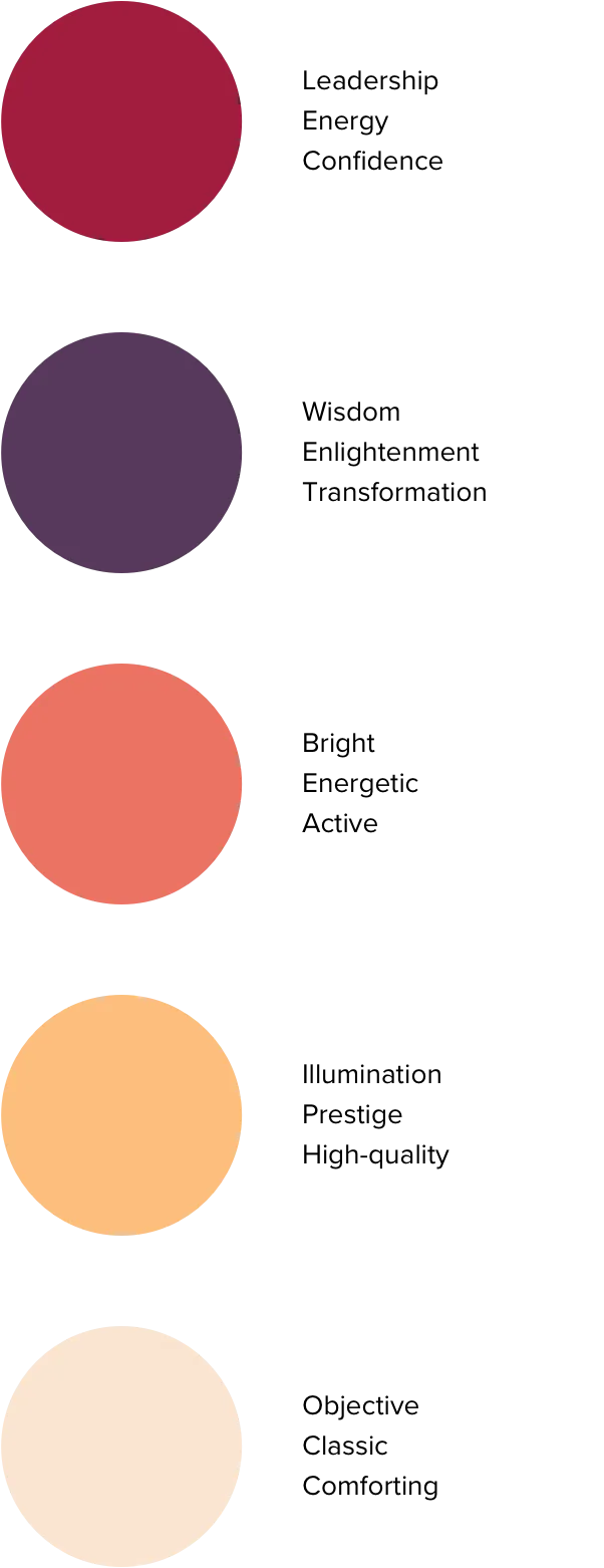 Color palette swatches with different meanings applied to each one.