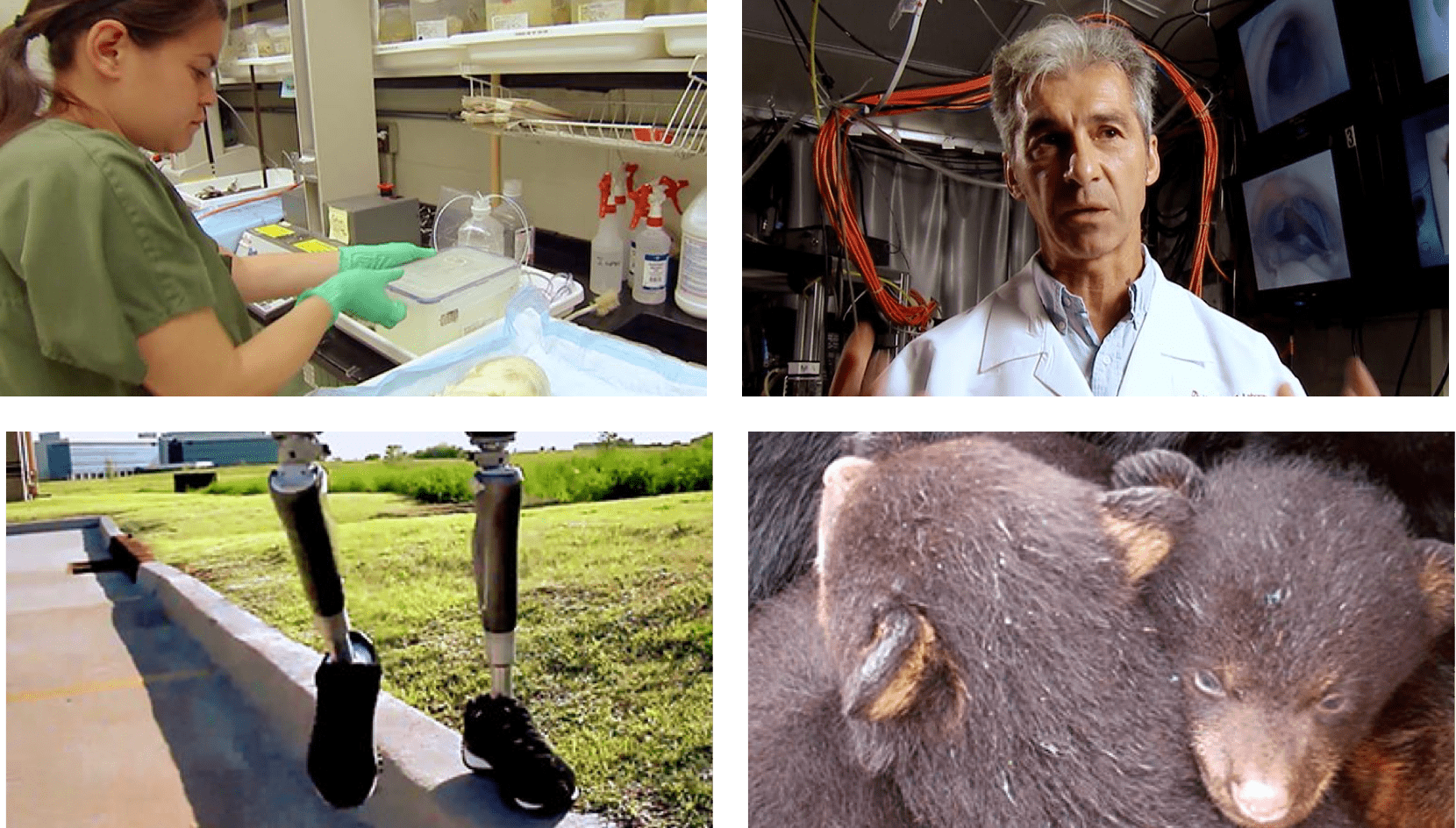 scientist in lab working and prosthetic legs with sneakers balancing on curb