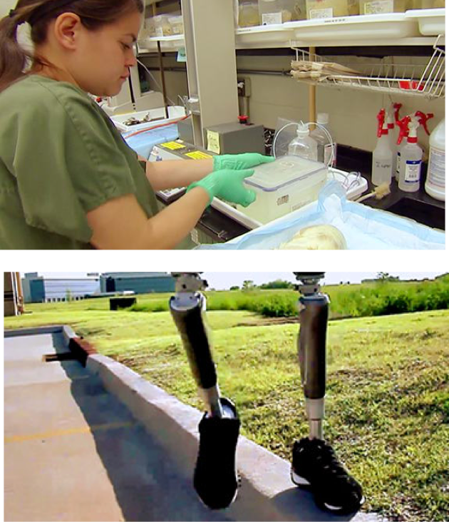 scientist in lab working and prosthetic legs with sneakers balancing on curb