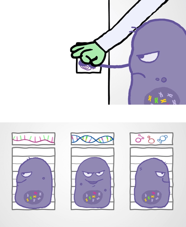 Cartoon illustrations of purple cancer cells being photographed for mugshots.